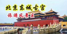 把妹妹艹出水中国北京-东城古宫旅游风景区